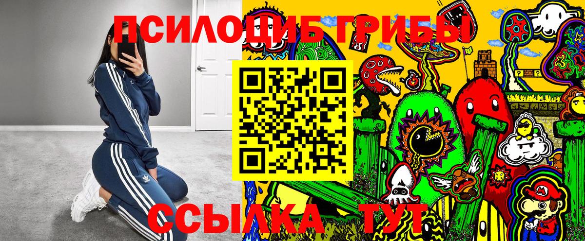 Псилоцибиновые грибы GOLDEN TEACHER  Вход с VPN  Котельники 